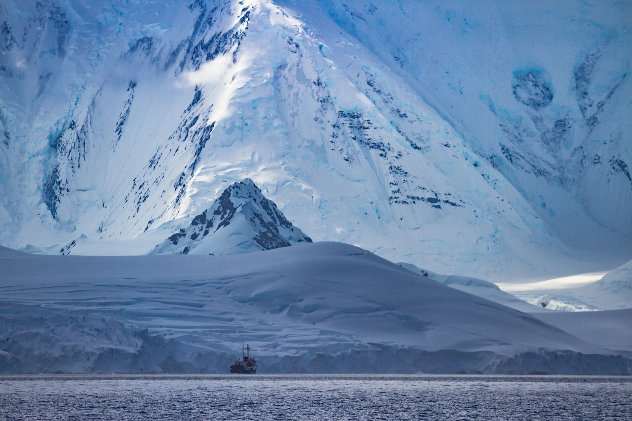 Ciclo de charlas virtuales “Bajo Cero” revela el fondo marino de la Antártica